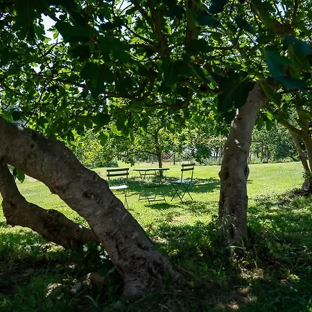 Boutique Bio Casale San Cristoforo